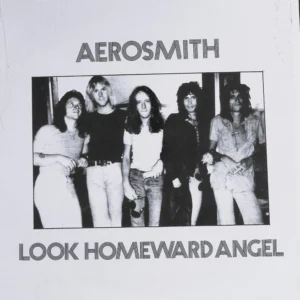 A black and white photo of aerosmith