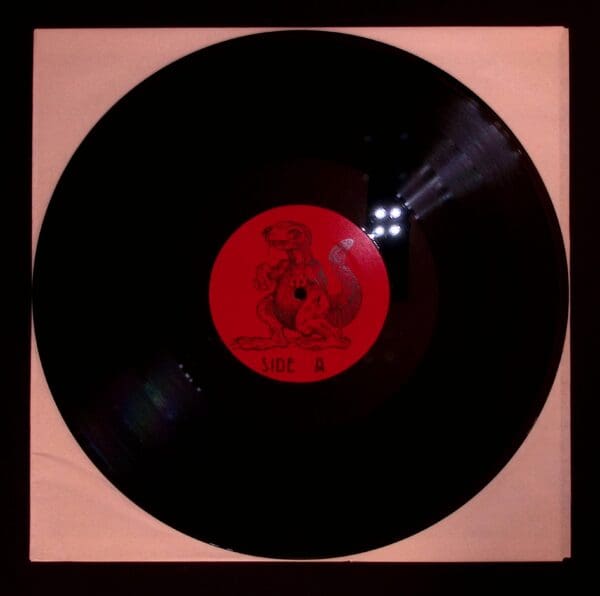 A black and red record is in the middle of a picture.