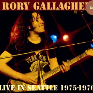 Musician playing guitar on stage, Seattle concert.