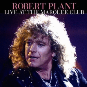 Musician performing live at Marquee Club.