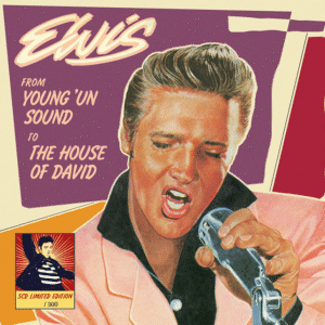 Singer holding microphone, colorful retro design.