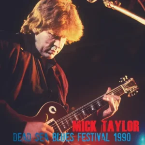 Guitarist playing at Dead Sea Blues Festival.
