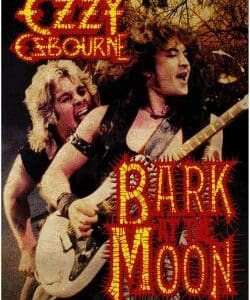 Rock concert DVD cover with fiery text.