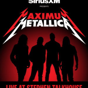 METALLICA - MAXIMUM (LP)